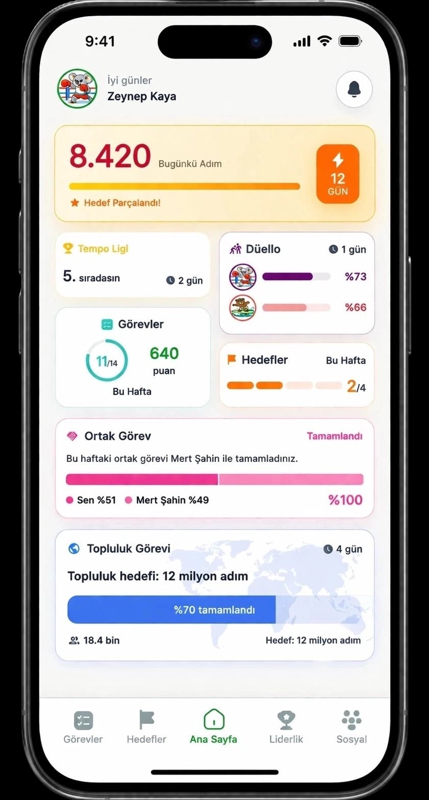 HealthVerse uygulama deneyimi